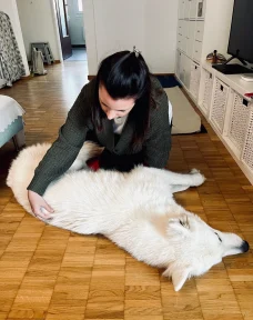 Hundeosteopathie Laura Penner, Behandlung