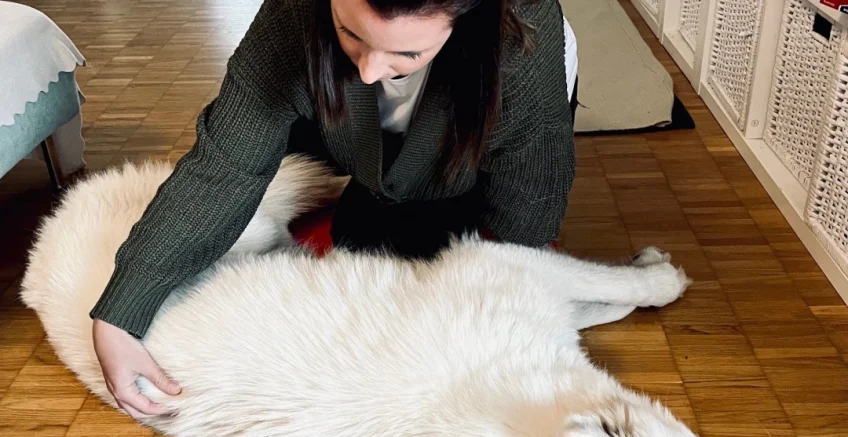 Hundeosteopathie Laura Penner, Behandlung